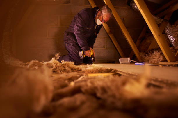 Best Insulation Maintenance and Repair in Charleston, MO